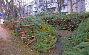 Полицейские штрафуют нарушителей на елочных базарах