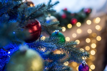 В Запорожье неизвестные "распотрошили" большую новогоднюю елку в центре района (ФОТО)