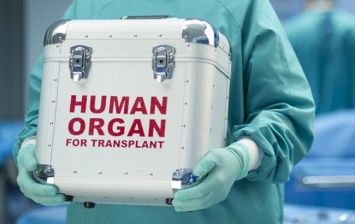 В Украине провели трансплантацию сердца впервые за 15 лет