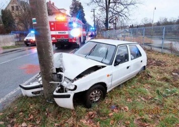 Рыба устроила ДТП в Чехии: пострадал водитель (ФОТО)