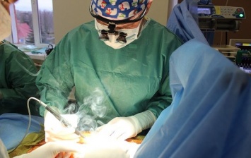 В Украине впервые за последних 15 лет провели пересадку сердца (ФОТО)