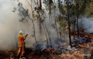Из-за пожаров в Австралии эвакуировали 30 тысяч туристов