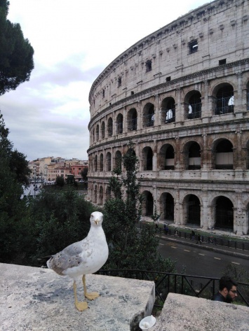 Римские каникулы: гид по самым ярким локациям столицы Италии