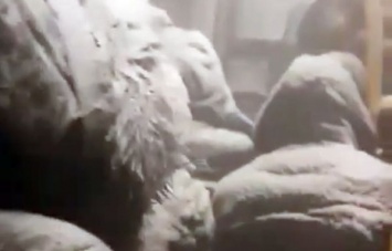 В российском Норильске пассажиров автобуса замело снегом прямо в салоне (видео)