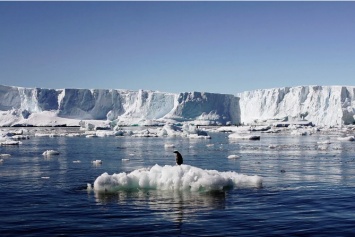 Ученые антарктической станции записали видеообращение