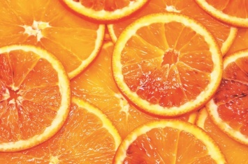 В Украину из Турции привезли десятки килограммов апельсин с плодовыми мухами
