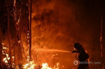 Австралию накрыли адские пожары: тысячи пострадавших, выгорела территория с Одесщину. Фото и видео