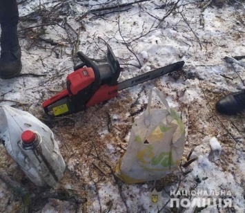 В Харьковской области полицейские «накрыли» нескольких «черных лесорубов», - ФОТО