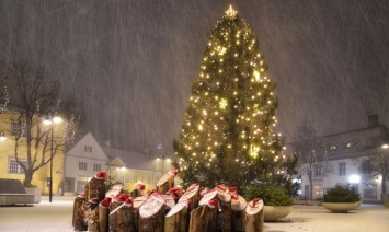 Эстонская компания производит напиток из ветвей главной рождественской ели Хельсинки