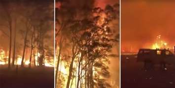Попробуй потуши такое! Огонь за считаные секунды съел лес и едва не погубил австралийских пожарных