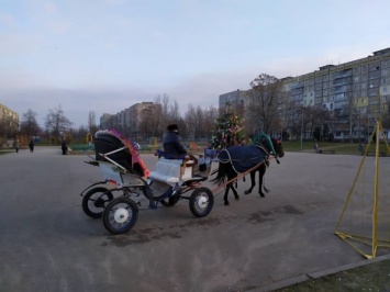 В Днепре появился новый вид транспорта - пролетка с извозчиком