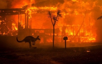 Порошенко призвал помочь Австралии в борьбе с лесными пожарами
