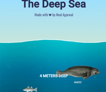 Появился сайт, на котором можно «спуститься» на дно океана и увидеть подводную жизнь