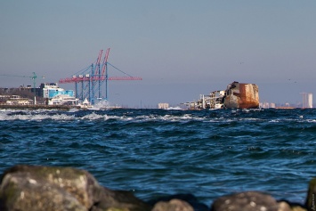 Январское море: "туша" Delfi, моржи на Ланжероне и неприглядный Чкаловский пляж