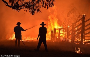 180 человек арестовали за умышленные поджоги лесов в Австралии