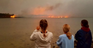 Пожары в Австралии глазами очевидца: украинец из Сиднея развенчал фейки соцсетей