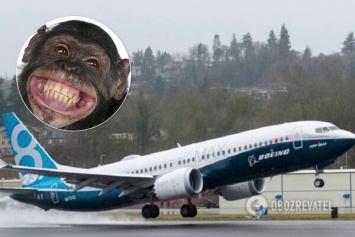 ''Делали клоуны под надзором обезьян'': всплыла скандальная переписка сотрудников Boeing