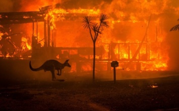 В Австралии из-за пожаров закрылись несколько посольств