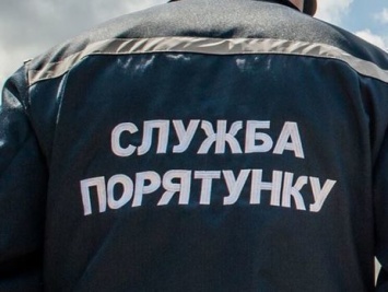«Упала в коммуникационный коллектор»: под Днепром спасли собаку