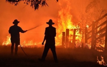 Количество погибших в результате пожаров в Австралии снова возросло