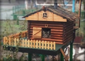 В Днепре уникальный «кошкин дом» нашел жильцов