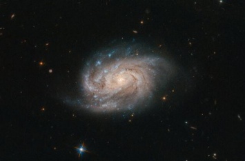 "Хаббл" сделал снимок галактики из созвездия Живописца