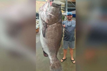 Рыбак поймал на удочку 159-килограммовую рыбу