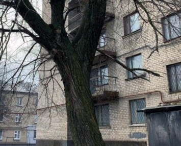 В двух городах Донецкой области студенты упали с высоты
