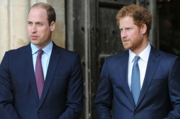 Это оскорбительно и наносит вред: принцы Британии рассказали правду о своих отношениях
