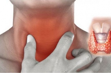 Щитовидная железа: врачи развенчали популярные мифы о заболевании