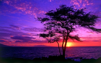 Над Запорожьем запечатлели удивительный пурпурный закат (ФОТО)