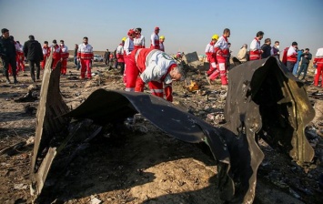 Рада приняла заявление об ответственности Ирана за сбитый самолет МАУ