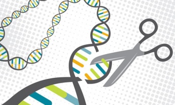 Ученые объединяют CRISPR и ДНК-шифрование для борьбы с раком
