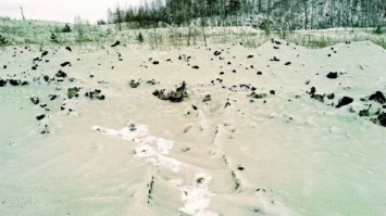 "Космическая пыль""или "краска": в России выпал зеленый снег