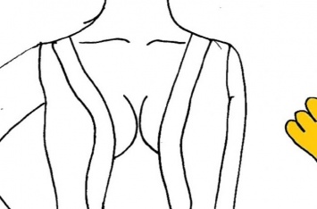11 серьезных и забавных заблуждений о женской груди