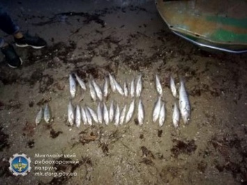 На Николаевщине суд вынес решение по браконьеру - за вылов краснокнижной рыбы «добытчик» заплатит свыше 19 тыс. грн. штрафа