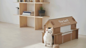 Samsung упаковывает технику в коробки, из которых можно сделать мебель или домик коту