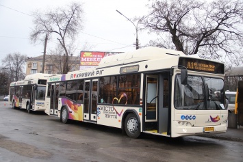В Кривом Роге определили перевозчиков на 38 автобусных маршрутах