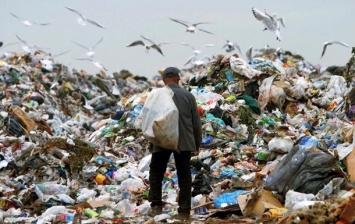 В Дрогобыче чиновник растратил миллион на фиктивном вывозе мусора