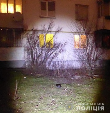 В Дарницком районе Киева задержали серийного квартирного вора, - ФОТО