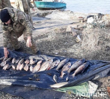 Сетки, рыба, лодки: рыбнадзор провел рейд по водоемам Днепропетровщины