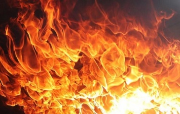 В Житомирской области при пожаре женщина задохнулась дымом