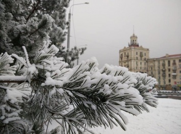 Волшебная аномалия: запорожцы делятся в сети фото с первым снегом в этом году