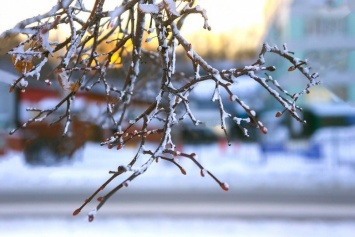 В Покровск придет похолодание до -7°C и снег