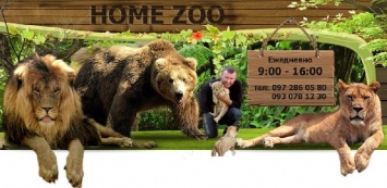 В зоопарк в Запорожской области переехали цирковые львы и поселится их дрессировщик