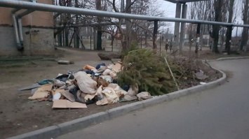 Властям Ингульского района пожаловались на «гору мусора, ставшую частью инфраструктуры»
