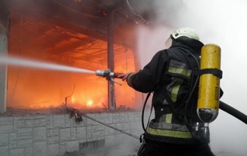 На Харьковщине в пожаре сгорела семейная пара: ГСЧС