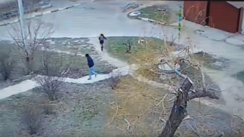В Никополе полиция проверяет факт нападения на школьницу: видео