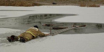 Белгородские спасатели вытащили провалившуюся под лед собаку