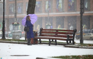 Метеорологическая зима в Киеве еще не наступила